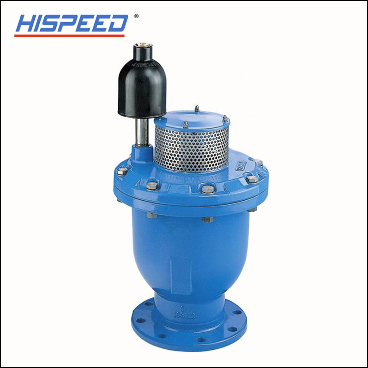 double-orifice-air-relief-valve_665809.jpg