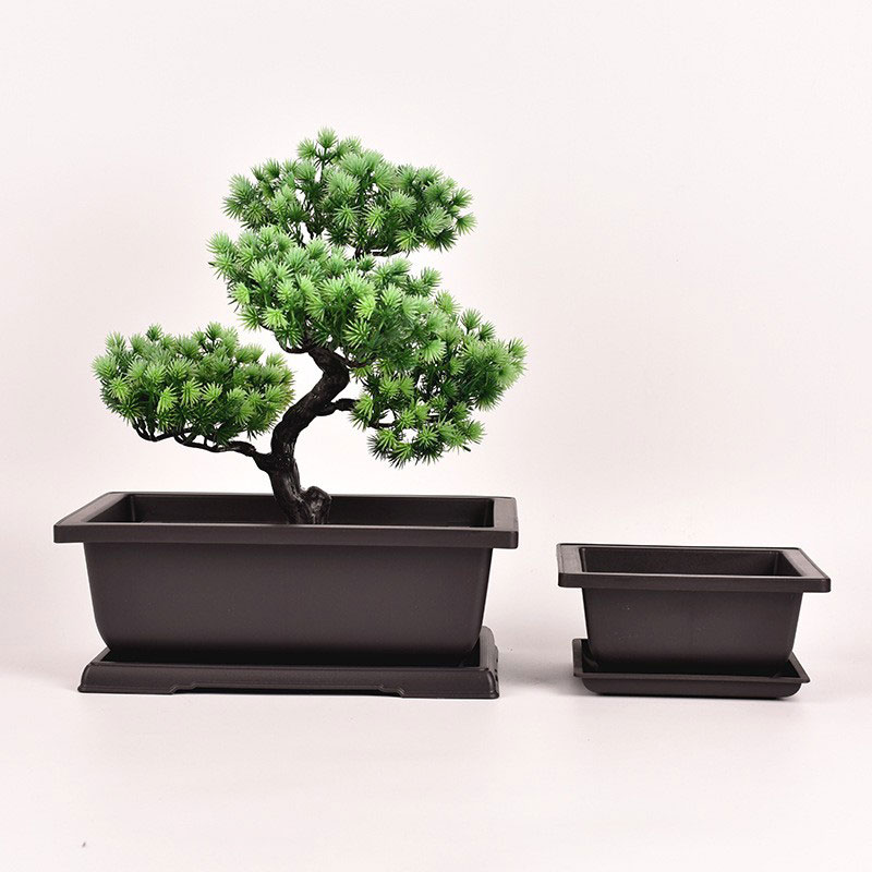 Key characteristics of a rectangle bonsai pot