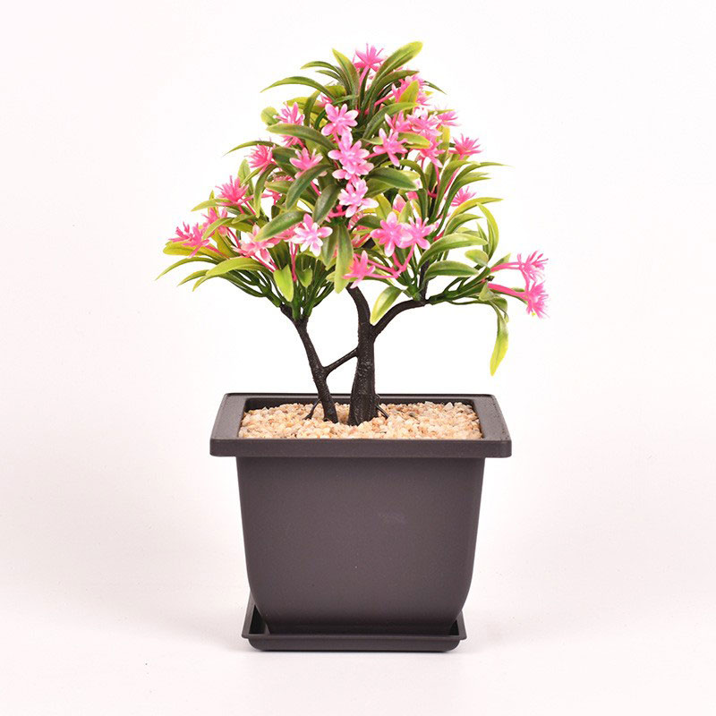 2-square-bonsai-pot-2587981.jpg