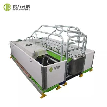 Built to Last: Comparing Construction Material and Durability of European-Style Farrowing Crates