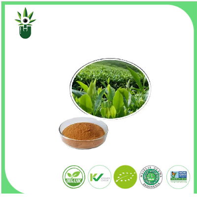 Understanding Natural Green Tea Extract 98% L: Benefits and Uses