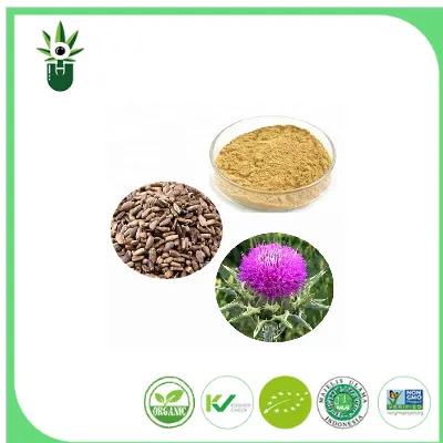 Milk Thistle Extraction Methods: Unveiling the Process Behind the Herbal Remedy