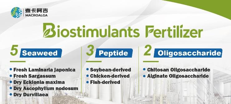 Reliable Biostimulant Supplier: How to Identify Quality Products for Your Crops