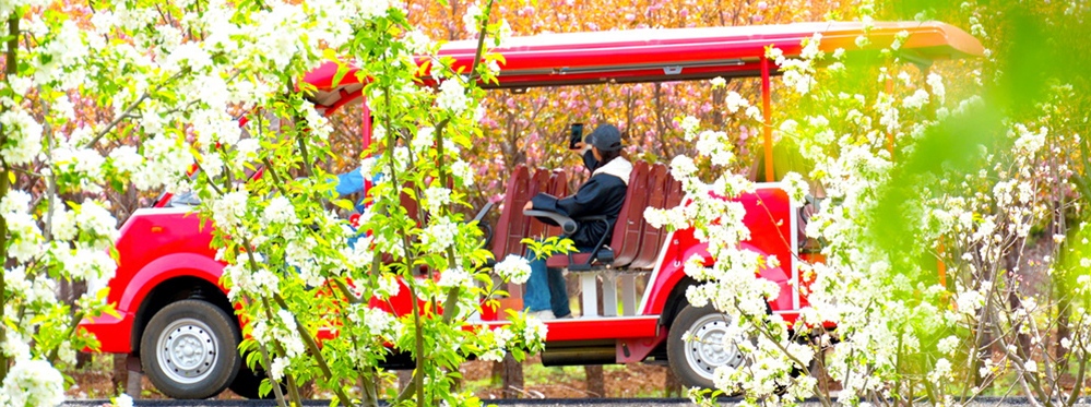 Experience Yushui Village: Your Essential Visit Guide