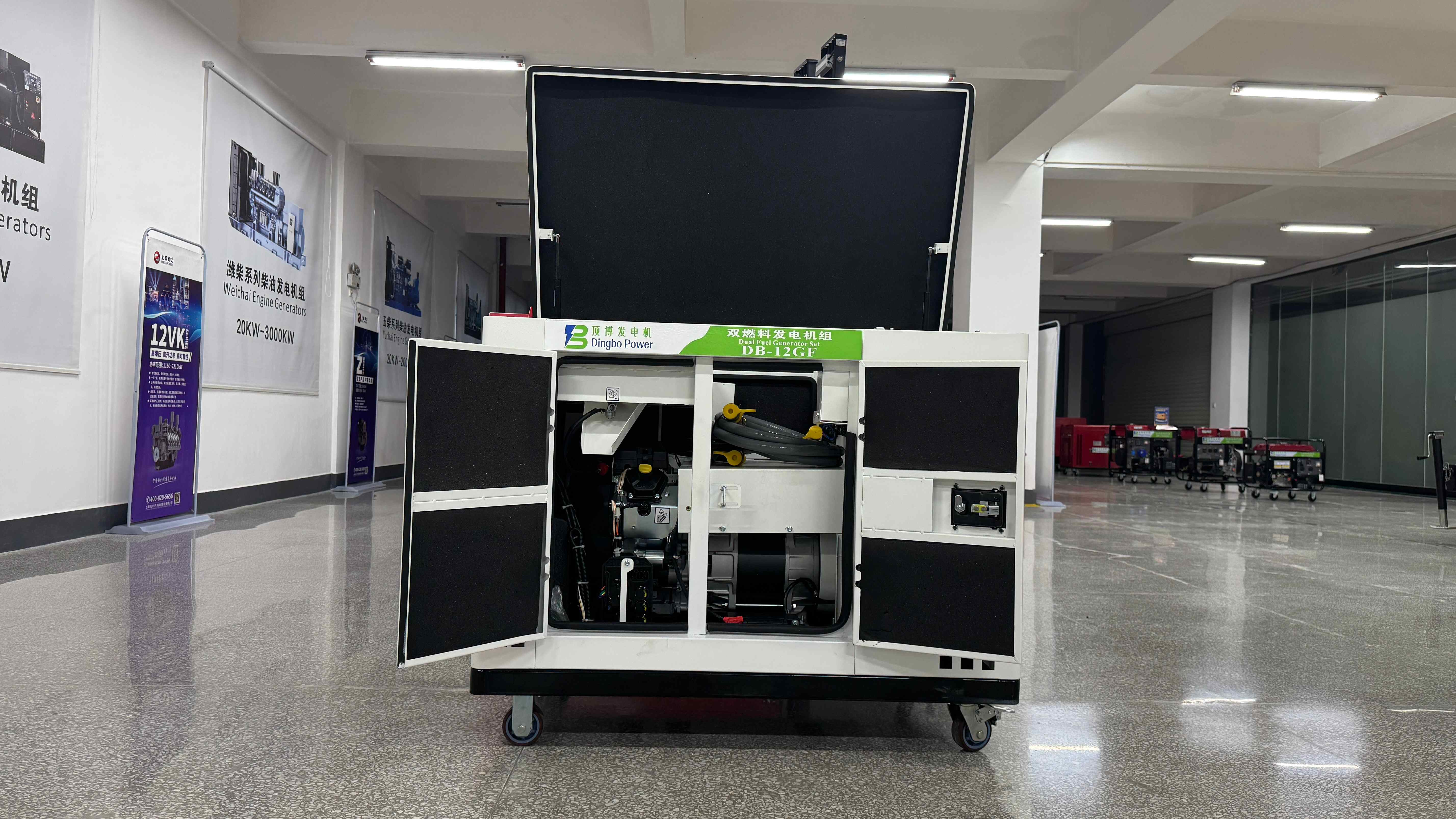 China Dual Fuel Generators: Reliable Power Solutions for Every Need