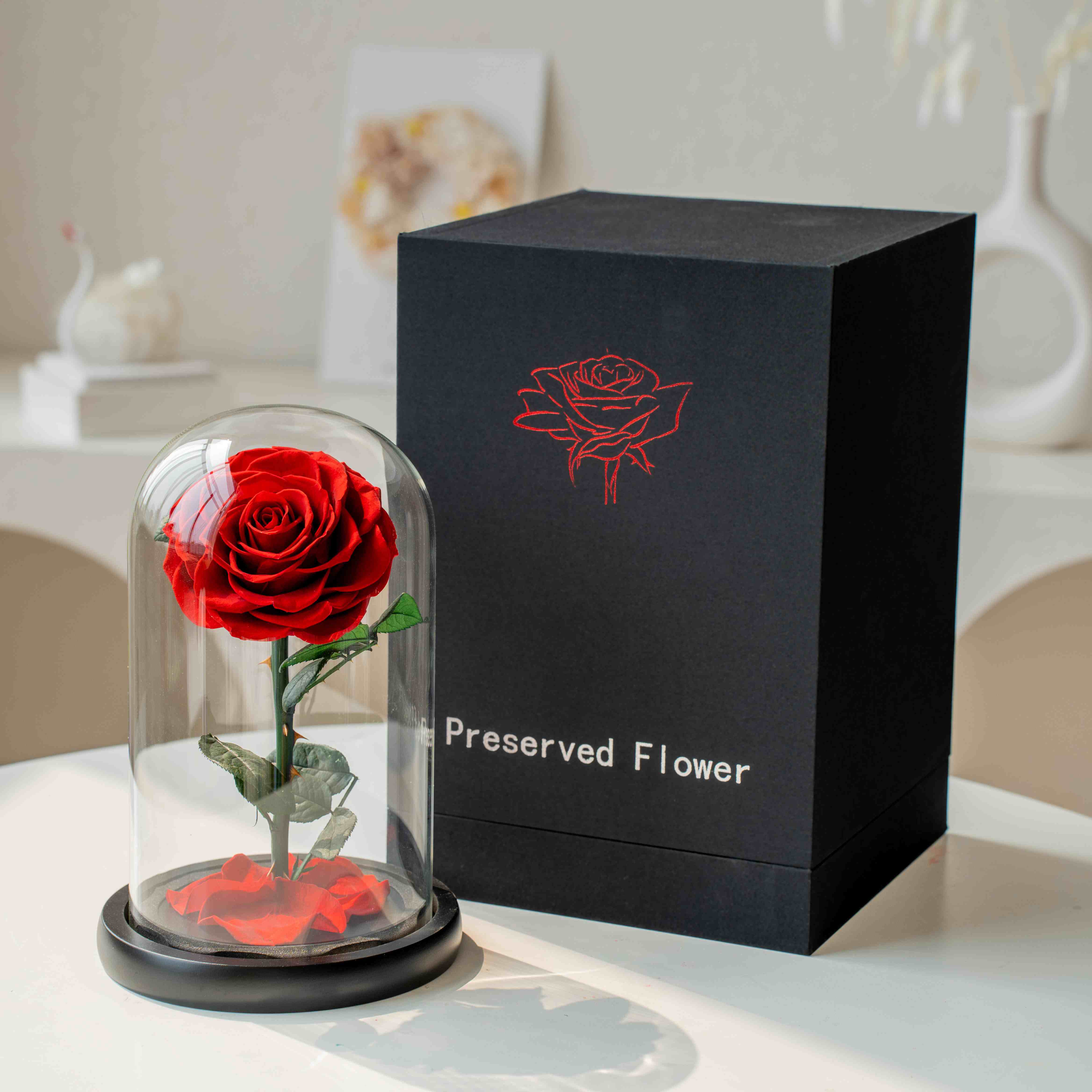 Which Preserved Rose is Best? How to Pick a Long-Lasting Bloom